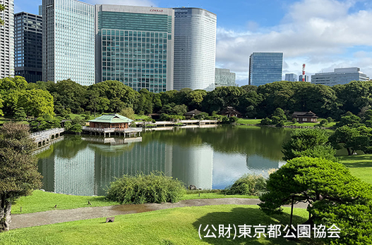 浜離宮恩賜庭園