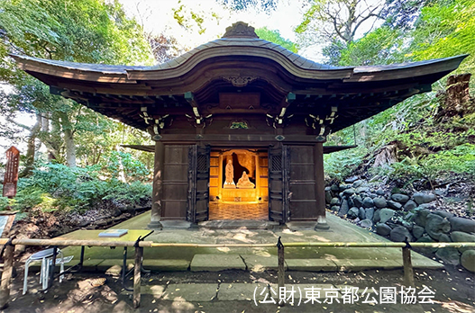 小石川後楽園